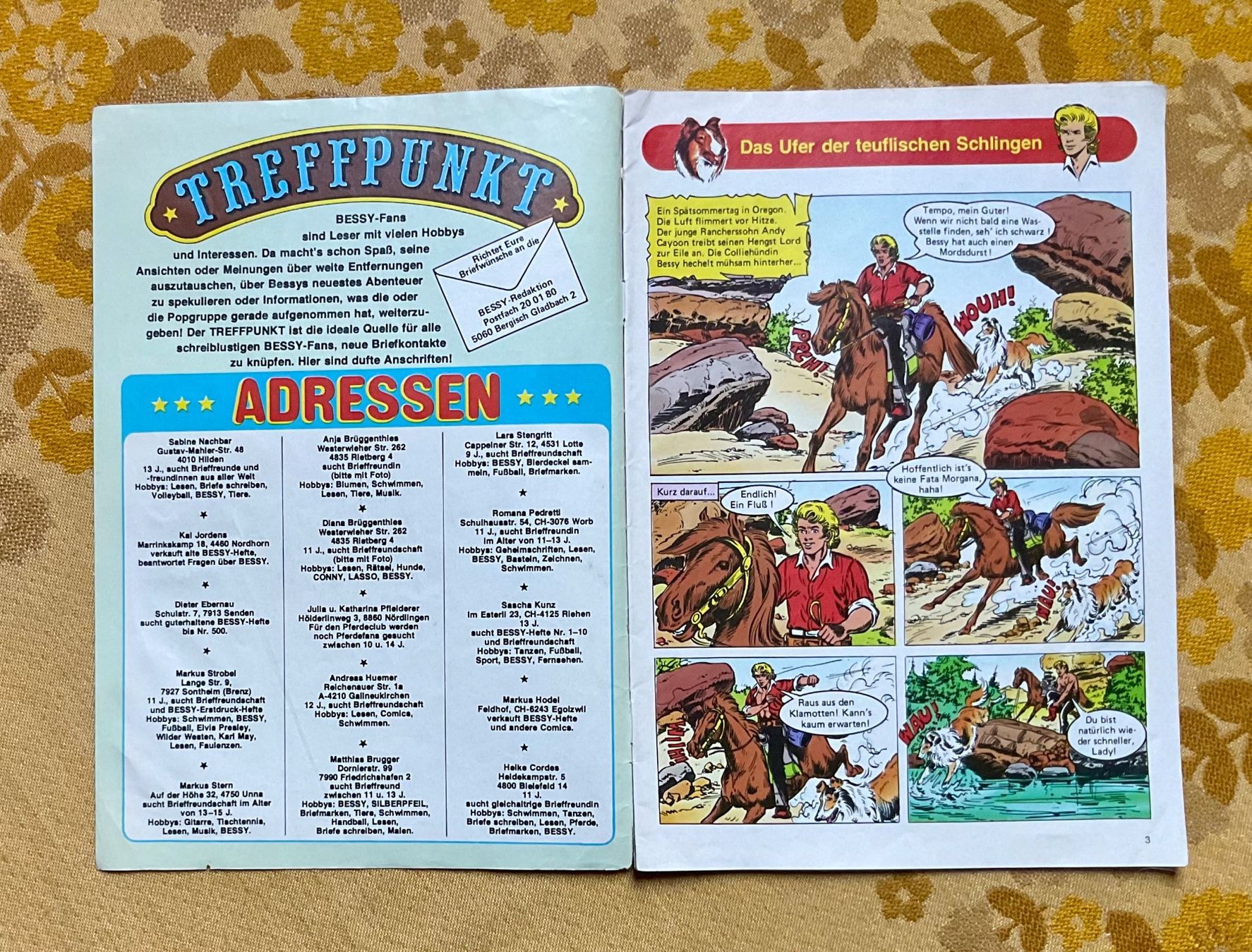 Fumetti: Bessy Heft Nr 800 von 1981 – Usato da Endingen venduto da nathan05 1