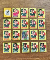 Mexico Panini WM 2026