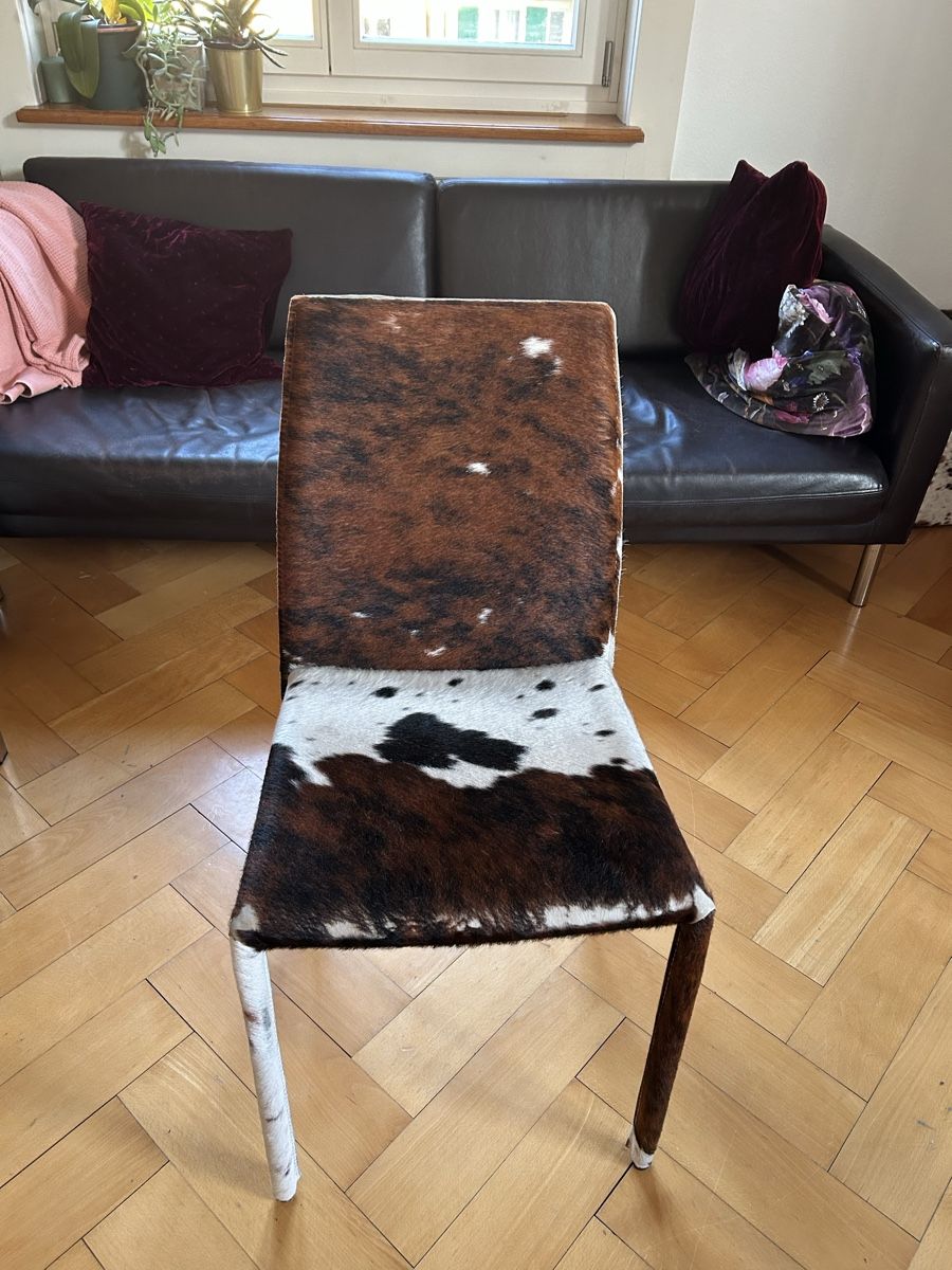 Chaises: 4 Stühle – D'occasion à Zürich par xenia.walser 4