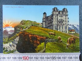 RIGI-KULM SONNENAUFGANG HOTEL KÜHE LU AK 1946