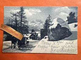 Kutsche bei St. Moritz 