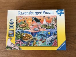 Puzzle Ravensburger 100 Teile