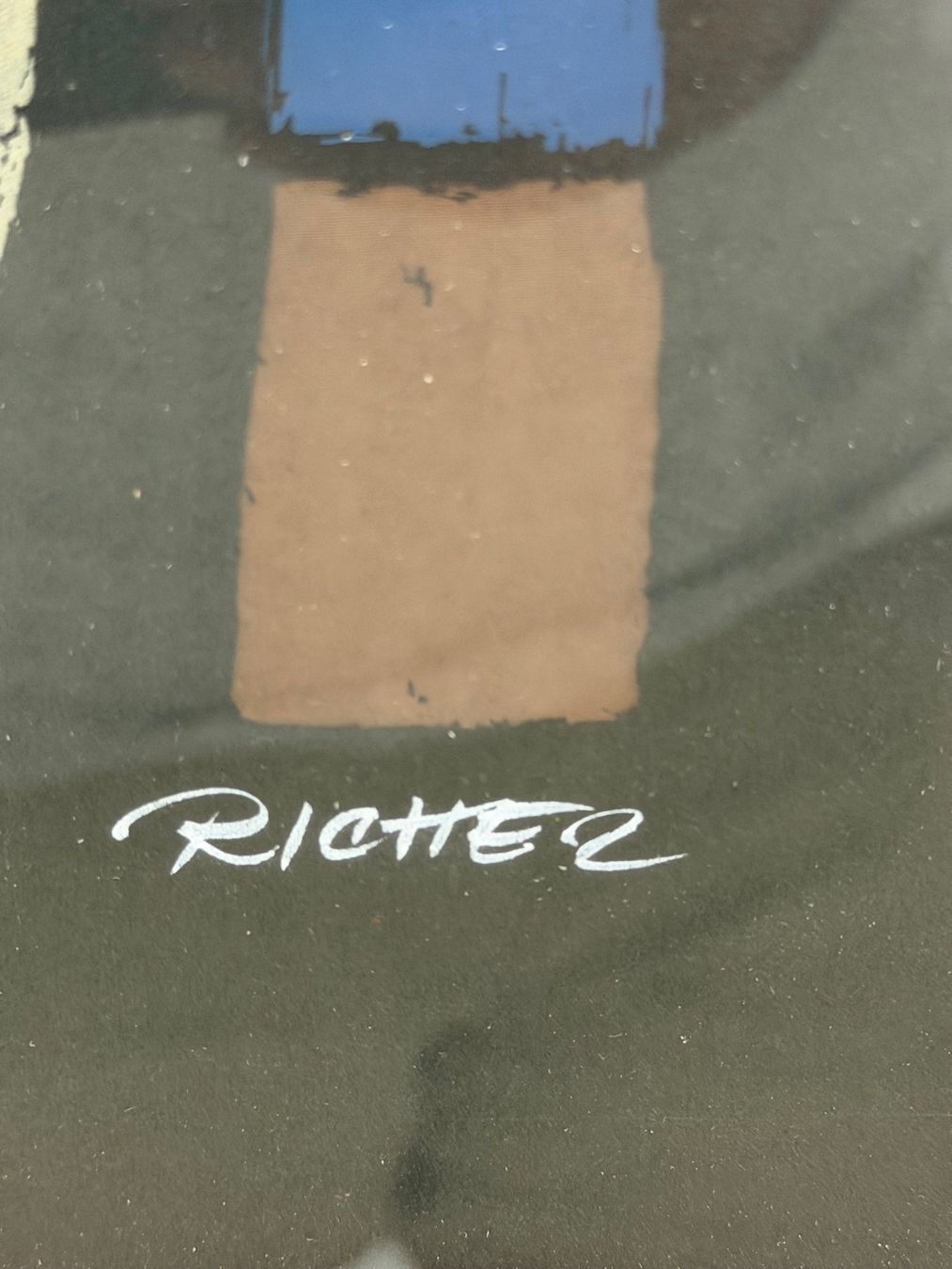 Dipinti: R. RICHER 96/120 Litho – Usato da Basel venduto da PAUL_ART 8