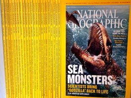 National Geographic Magazine Jahrgang 2004/2005 Konvolut