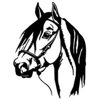 🐴 Lustiger Auto-Aufkleber «PFERD» für unterwegs! 🐎💫