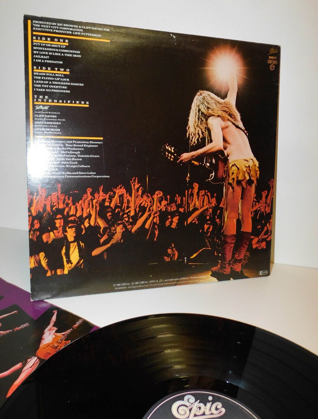 Dischi in vinile: Lp - 1981 Ted Nugent - Schallplatte   Lp – Usato da Sursee venduto da 76 6