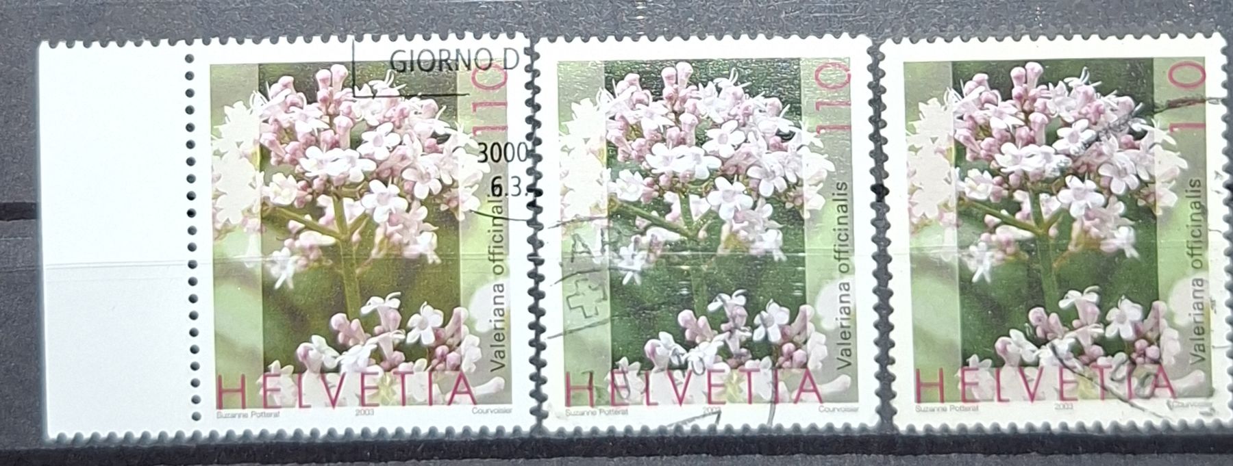 Alle Briefmarken: Nr. 1075 Baldrian minime farbunterschiede – Gebraucht aus Balgach von SIMEON27