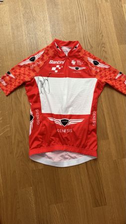 Tour de Suisse Bergtrikot Santini, signiert, Grösse M