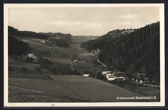 Cartes postales: Rüegsau i. E., Rinderbach Britternmatte – D'occasion à Berlin par bartko-reher