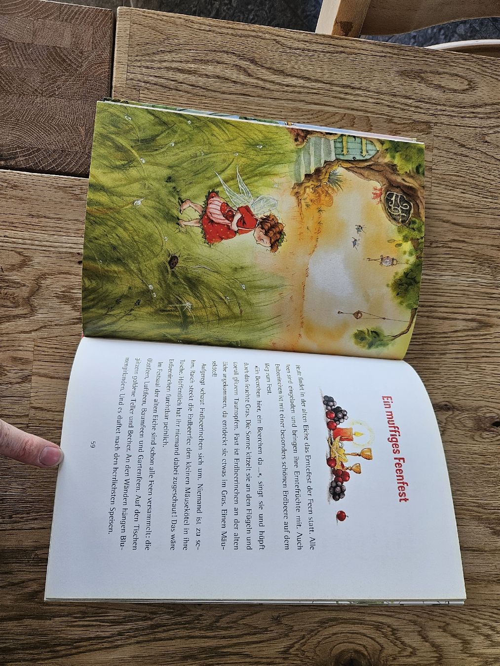 Bücher: Erbeerinchen Erdbeerfeebuch – Gebraucht aus Visp von hutter88 2