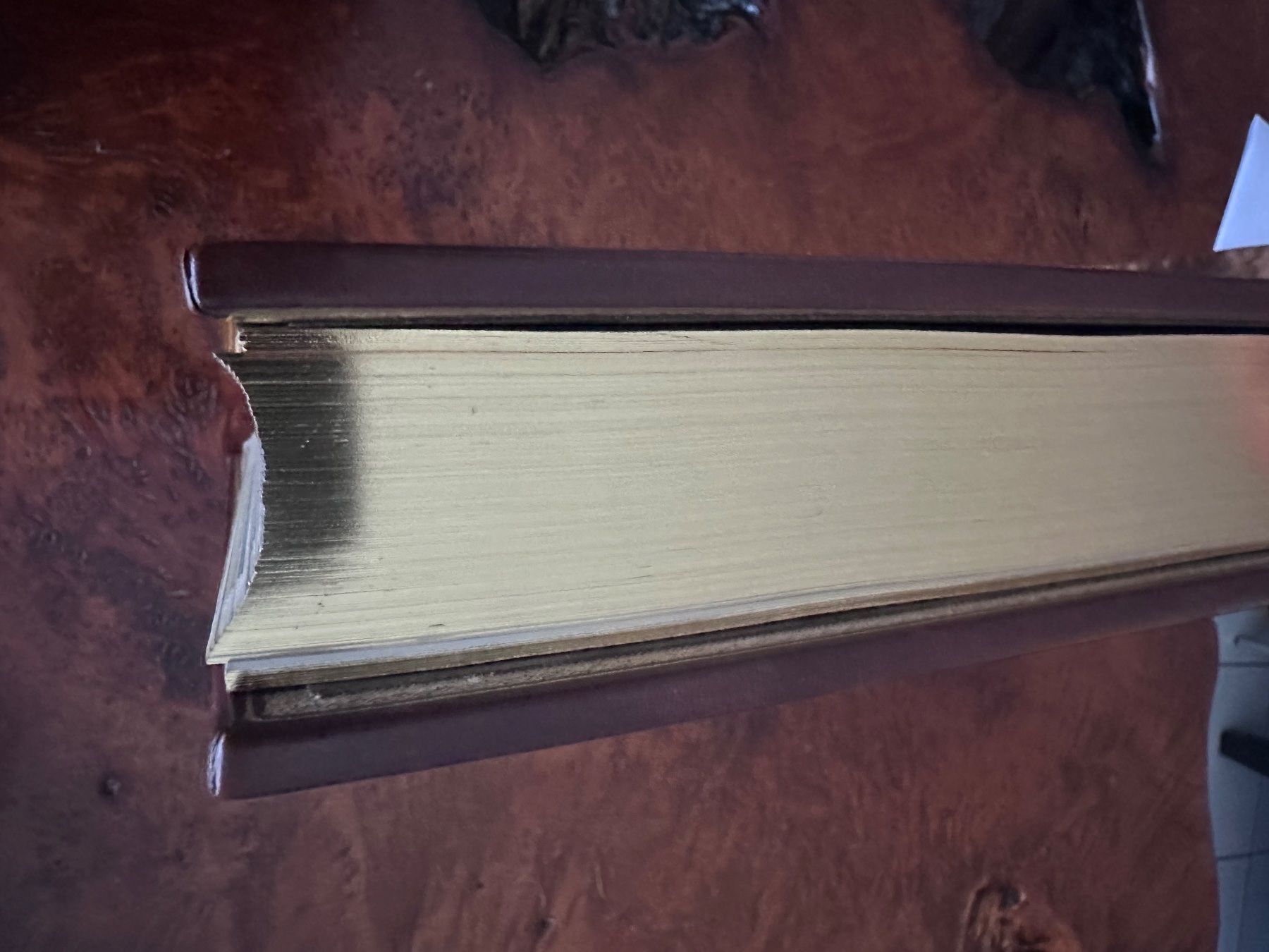 Libri: Zauber der Jagd Bildband Buch – Usato da Bassersdorf venduto da swadrone 9