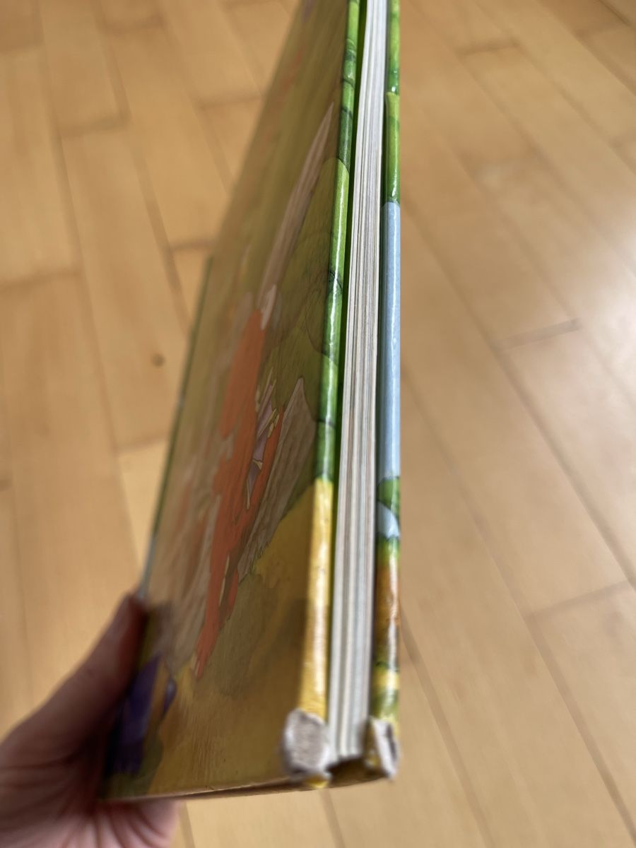 Libri: Bücher-Set – Usato da Weinfelden venduto da Dealissima 9