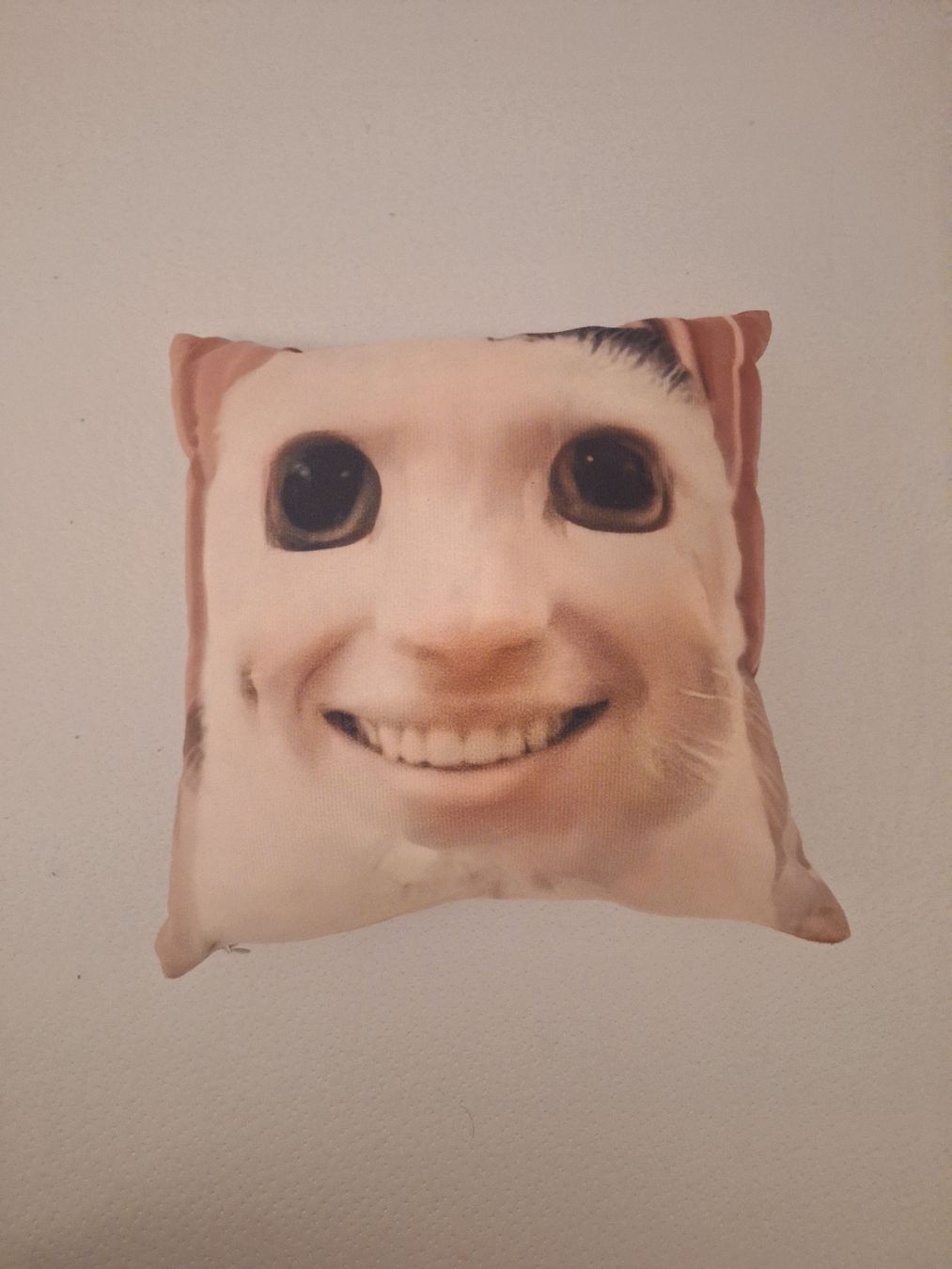 Coussins: Pillow Cat Face Square – Neuf (Voir description) à Biel/Bienne par Seyran 2