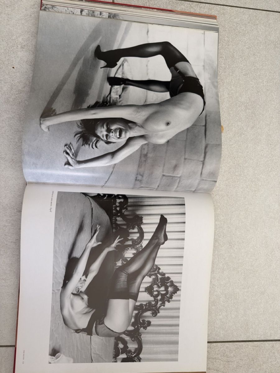 Bücher: Book " Pin-Ups" excellent condition – Gebraucht aus Martigny von Jacoosh1234 9