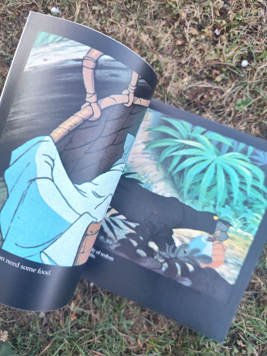 Bücher: Walt Disney The Jungle Book – Gebraucht aus Mägenwil von VintageGirly 9