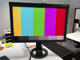 EIZO ColorEdge CG245W