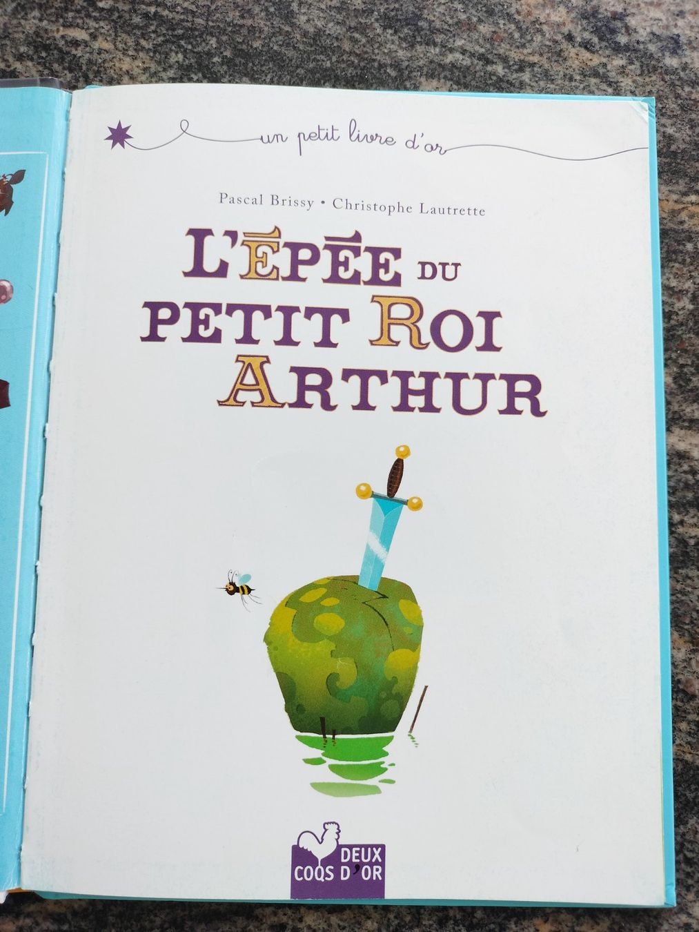 Libri: L'épée du petit roi Arthur - Pascal Brissy Pascal Brissy – Usato da Cortaillod venduto da rozinna 1
