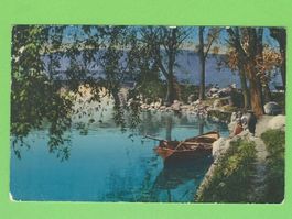 Am Zürichhorn