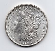(246) USA, 1 Dollar, 1897, top stgl