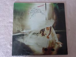 LENE LOVICH ** FLEX ** TOLLER MYSTIC PUNK