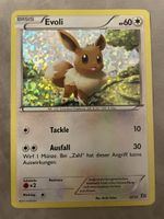 Evoli Holo