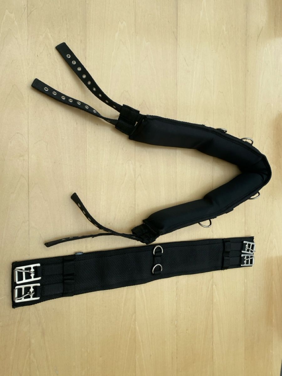 Selles, accessoires: Longiergurt – D'occasion à Schenkon par ami_8cbt 2