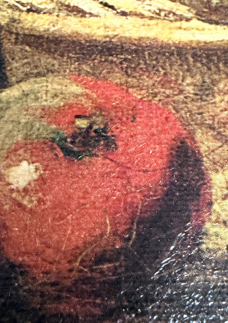 Foto & Immagini: Vintage-Bild auf echter Stoff-Leinwand – Usato da Nussbaumen AG venduto da olitech5415 4