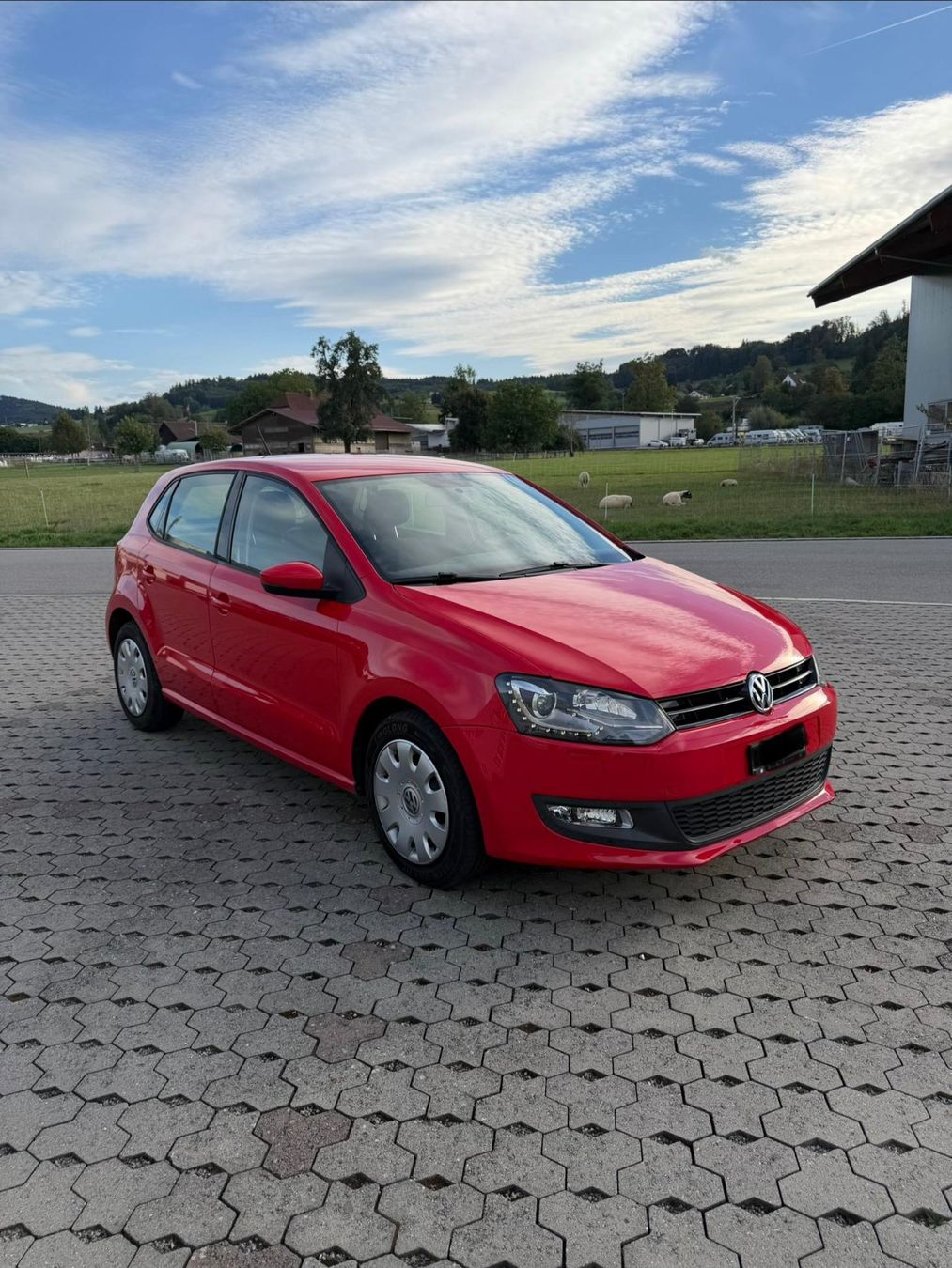 VW Autos: VW Polo 1.6 TDI – Gebraucht aus Beinwil am See von Martin_Esv
