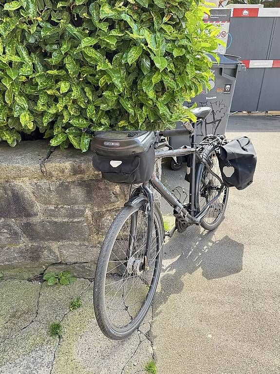 Velos: Reiserad Simplon Rahmen L – Gebraucht aus Zürich von morris222 4