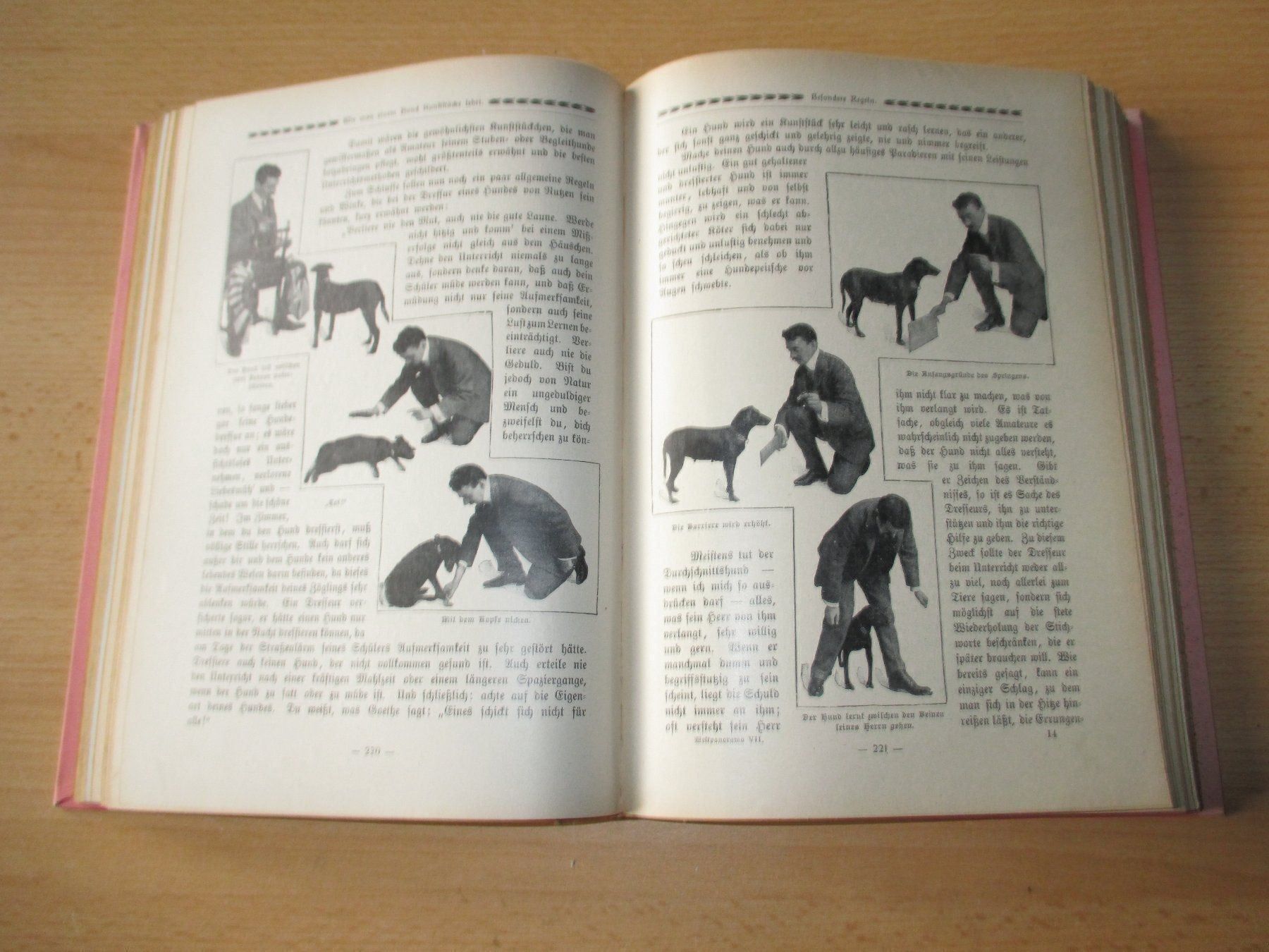 Libri: Das grosse Weltpanorama, 1908 – Usato da Flims - Dorf venduto da Stagediver 7