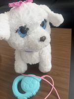 Hund mit Leine weiss guter Zustand