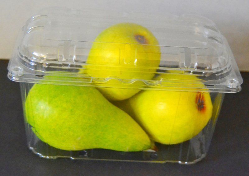 Ciotole: Fruchtschalen transp. 500g mit Deckel – Nuovo e nell'imballaggio originale da Lauperswil venduto da oeko-sack