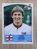 Panini Euro 1988 Einzelsticker Nr. 165