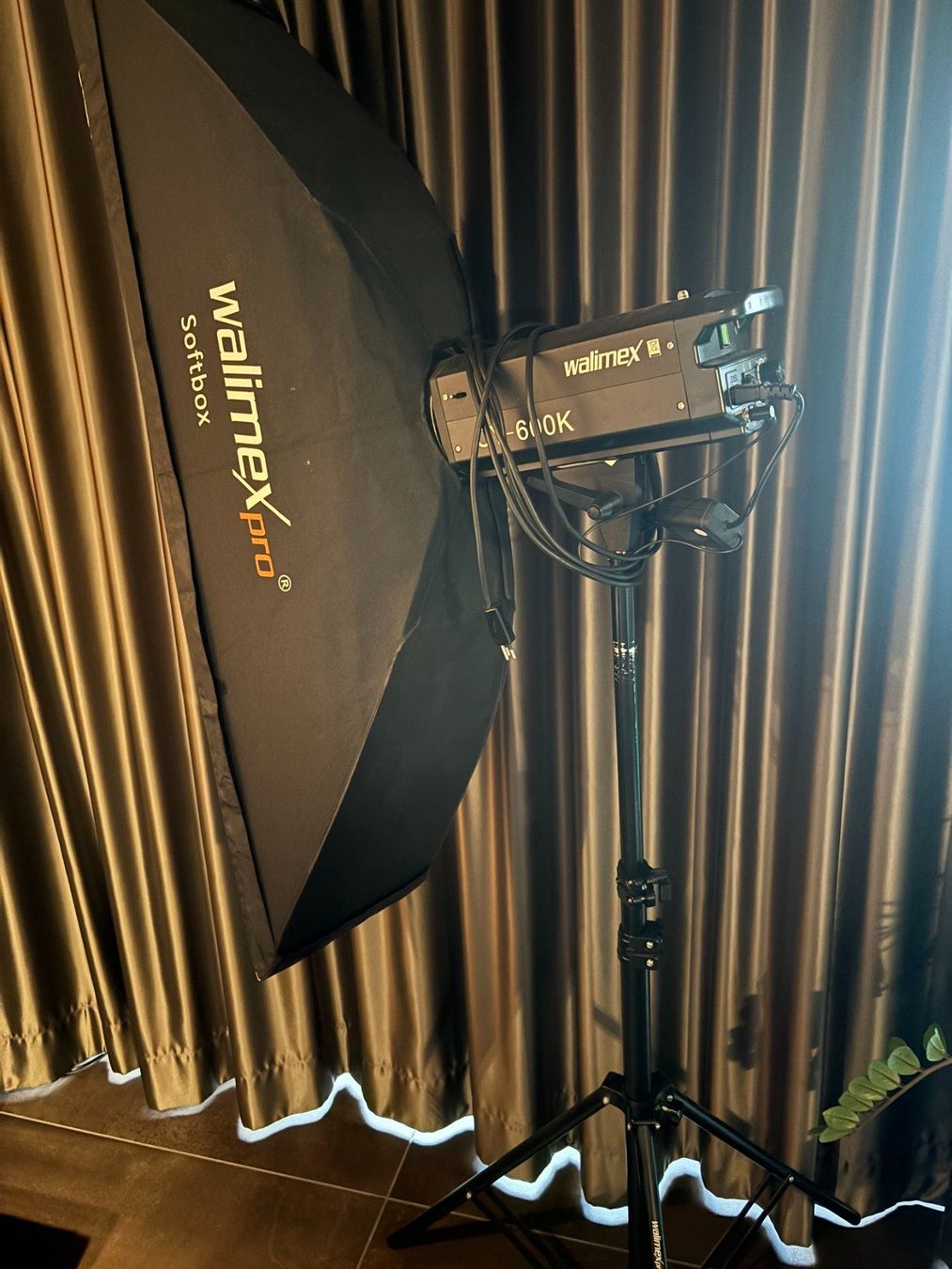Walimex Flash: Studioblitz  mit Stativ und Walimex Softbox – Usato da Zürich venduto da indianer13