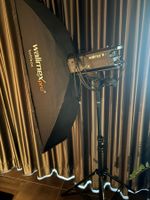 Studioblitz  mit Stativ und Walimex Softbox