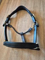 Leder Halfter Cob