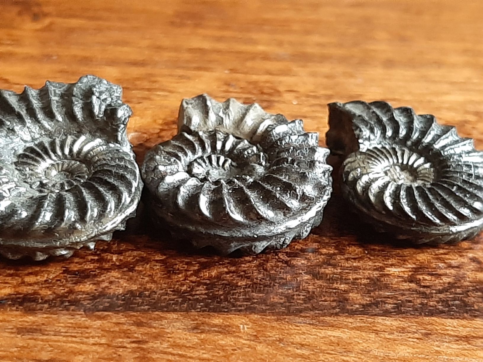 Fossili: Pyrit Ammoniten 3 Stück Frankreich – Usato da Rickenbach BL venduto da Oktober68 4