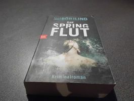 Die Springflut, Cilla&Rolf Börjlind, Kriminalroman