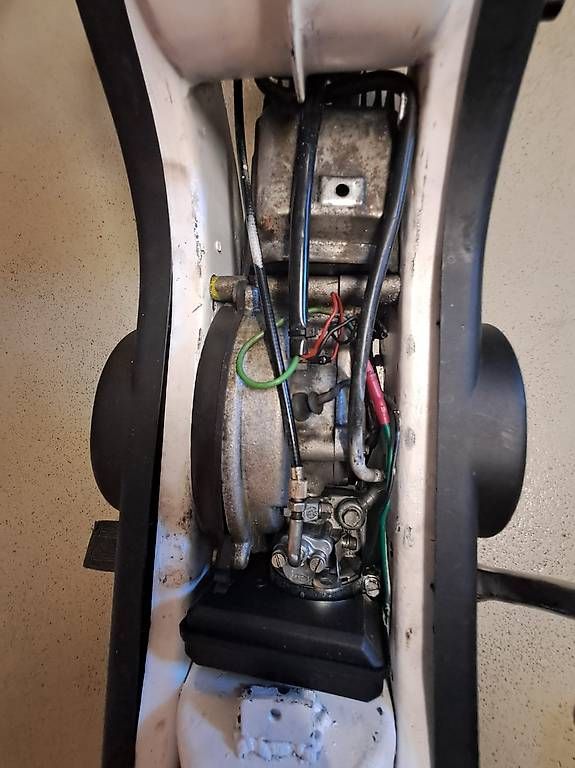 Mofas: Piaggio CIAO – Gebraucht aus Wängi von fed_j5kl 4