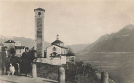 Brissago animata cane