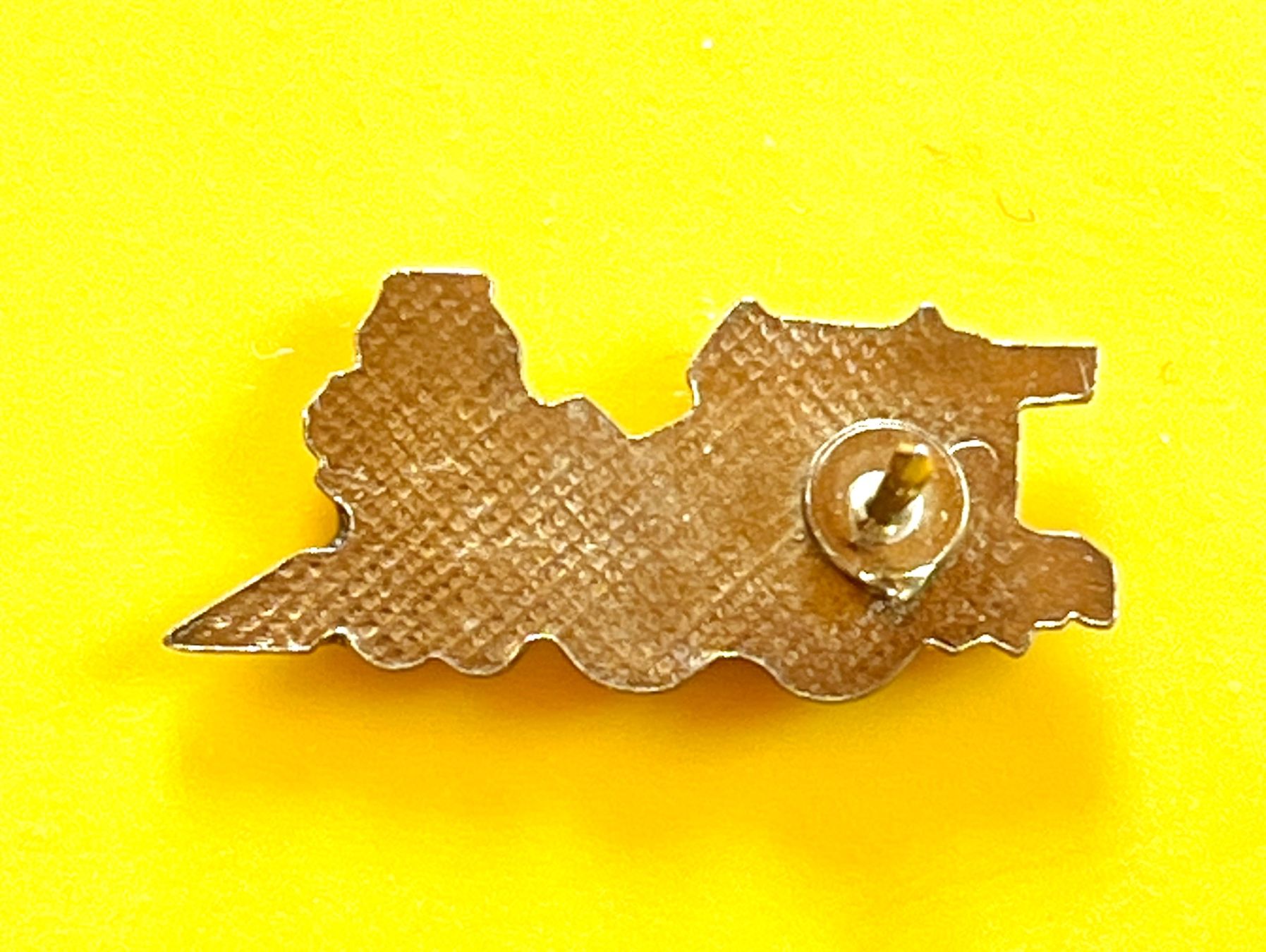 Placchette & Badge: Pin train  🚂/1 – Usato da Renan BE venduto da johncactus 1