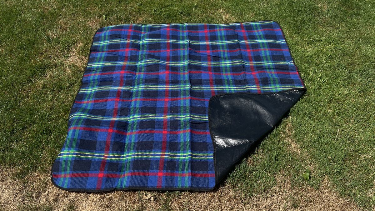 Frigoriferi & Refrigeratori: Kühltasche inkl. Picknickdecke – Usato da Aesch LU venduto da HSchnitzler 4