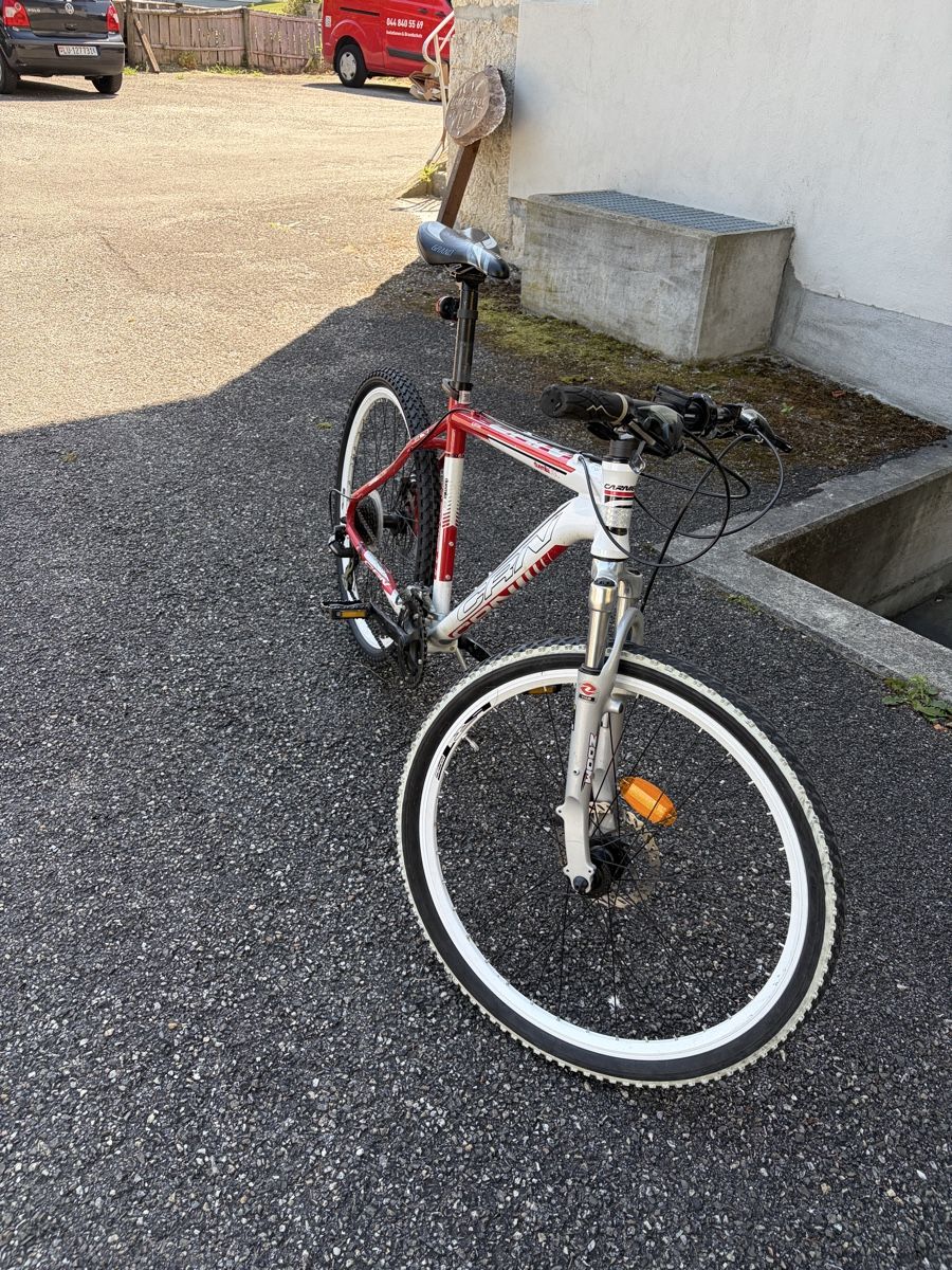 Velos: Carnielli Velo Mtb – Gebraucht aus Gretzenbach von Robcsi1 1
