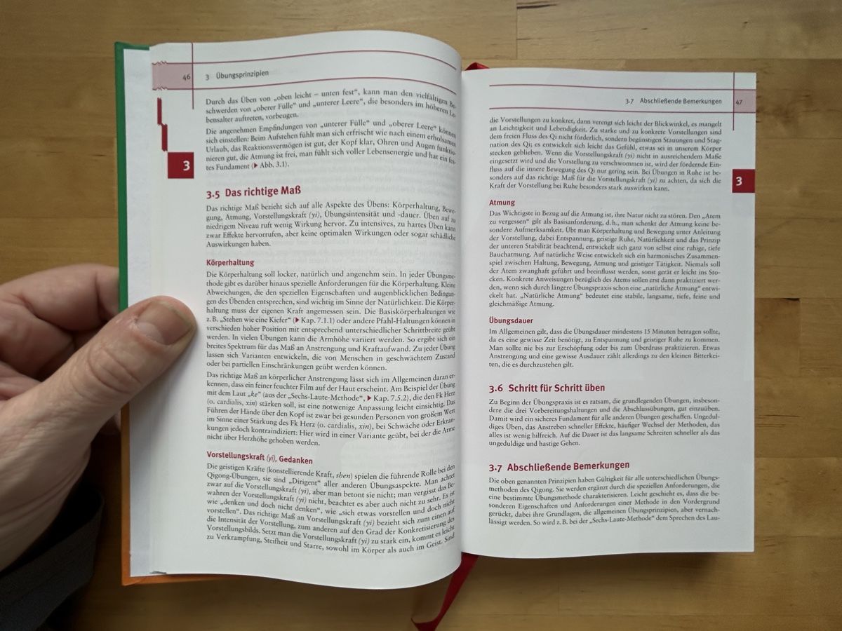 Libri: Leitfaden Qigong – Nuovo (secondo la descrizione) da Himmelried venduto da rasmus67 6