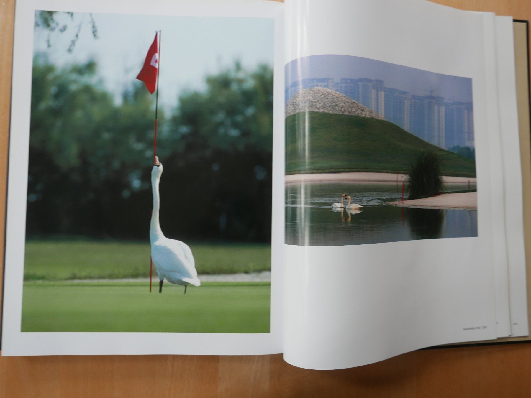 Livres: GOLF  Buch – D'occasion à Rotkreuz par nigal 6