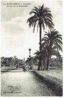 Marrakech  Palmiers Avenue de la Koutoubia, 1922