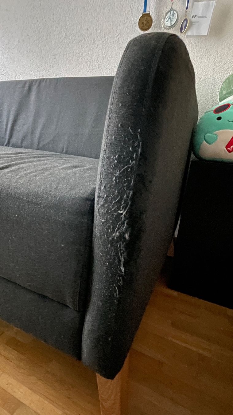Ikea Divani: Sofa – Usato da Zürich venduto da Pharao67 3