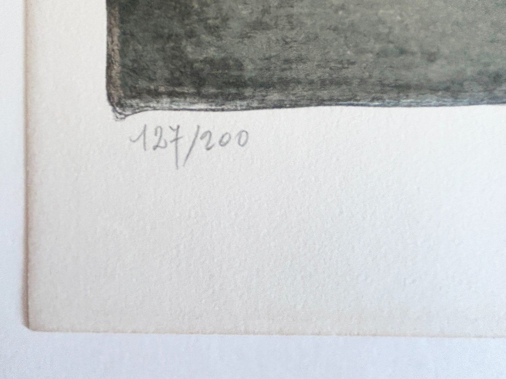 Grafica & Litografie: Roger Forissier - Camargue - Litho - Signée & numérotée – Usato da Genève venduto da Fastbozzo 2