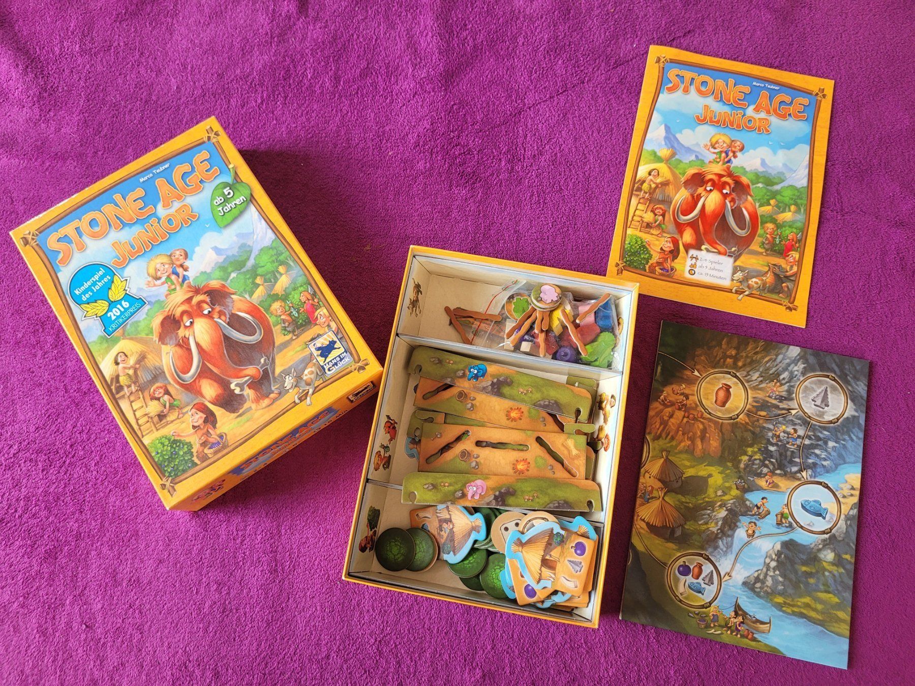 Giochi: Stone Age Junior von Hans im Glück – Usato da Müllheim Dorf venduto da Seeeule01 1