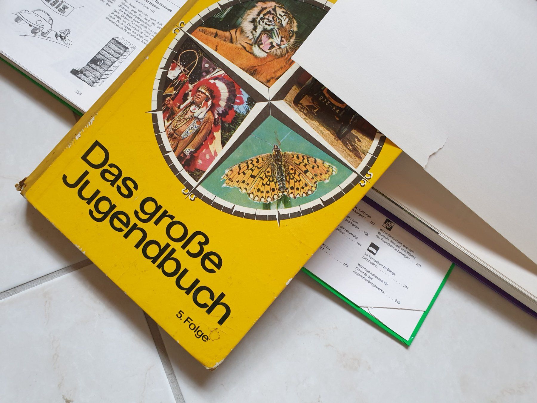 Libri: Das grosse Jugendbuch, Reader's Digest, Sammlung – Usato da Schönengrund venduto da lia_t65g 8